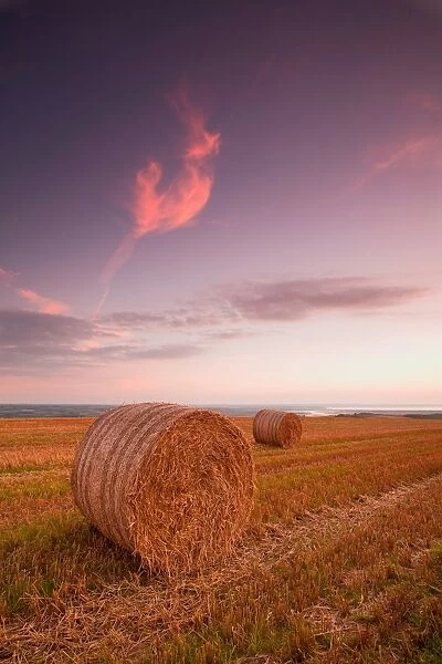 Round straw bales in stubble field at sunset, with distant view of River Taw onto The Bar in Bideford Bay