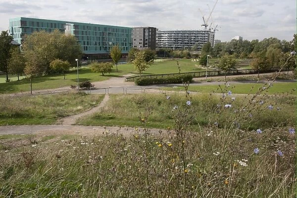 View of ecology park and buildings, The Ecology Park, Mile End Park, Tower Hamlets, London, England, september