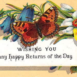 Butterfly and flowers on a birthday card