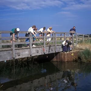 Suffolk Crabbing at Walberswick, Suffolk