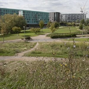 View of ecology park and buildings, The Ecology Park, Mile End Park, Tower Hamlets, London, England, september