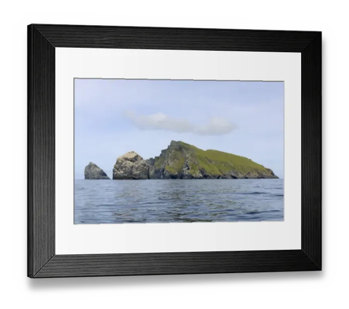 Framed Print : Northern Gannet (Morus bassanus) nesting colony, St. Kilda, Outer Hebrides, Scotland, July Framed Print : Northern Gannet (Morus bassanus) nesting colony, St. Kilda, Outer Hebrides, Scotland, July