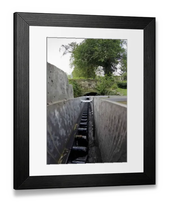 Framed Print : European Eel (Anguilla anguilla) eel pass on river tributary, River Severn, Gloucestershire, England, April Framed Print : European Eel (Anguilla anguilla) eel pass on river tributary, River Severn, Gloucestershire, England, April