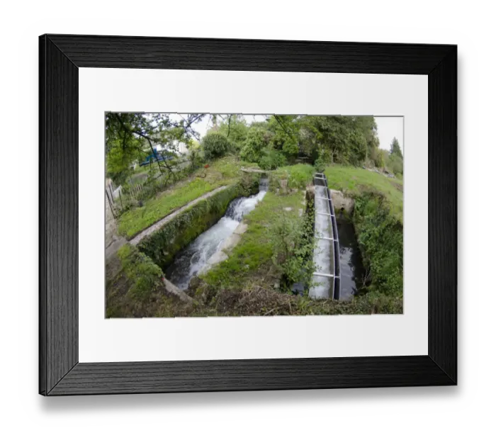 Framed Print : European Eel (Anguilla anguilla) eel pass and mill stream, Gloucestershire, England, April Framed Print : European Eel (Anguilla anguilla) eel pass and mill stream, Gloucestershire, England, April