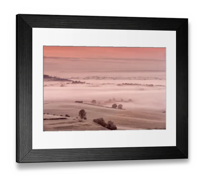 Framed Print : View of sheep flock on frost covered pasture in mist at sunrise, Cobblers Plain, Monmouthshire, Wales, November Framed Print : View of sheep flock on frost covered pasture in mist at sunrise, Cobblers Plain, Monmouthshire, Wales, November