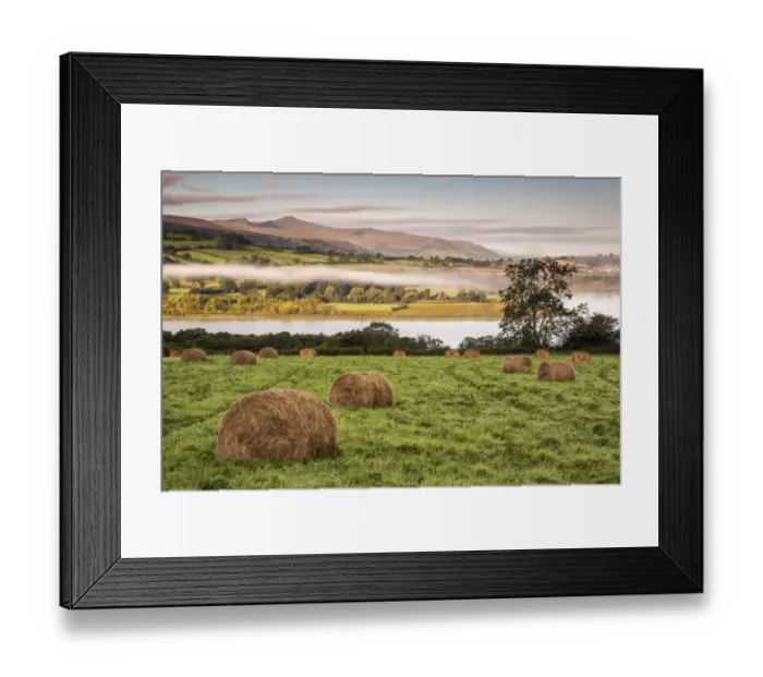 Framed Print : View of farmland with hay bales in meadow at sunrise, Llangorse Lake, Brecon Beacons N. P. Powys, Wales, September Framed Print : View of farmland with hay bales in meadow at sunrise, Llangorse Lake, Brecon Beacons N. P. Powys, Wales, September