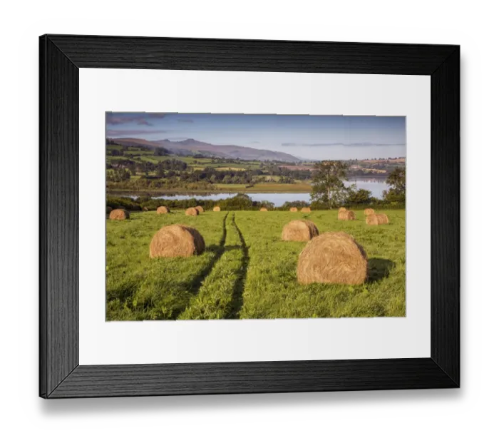 Framed Print : View of farmland with hay bales in meadow at dawn, Llangorse Lake, Brecon Beacons N. P. Powys, Wales, September Framed Print : View of farmland with hay bales in meadow at dawn, Llangorse Lake, Brecon Beacons N. P. Powys, Wales, September