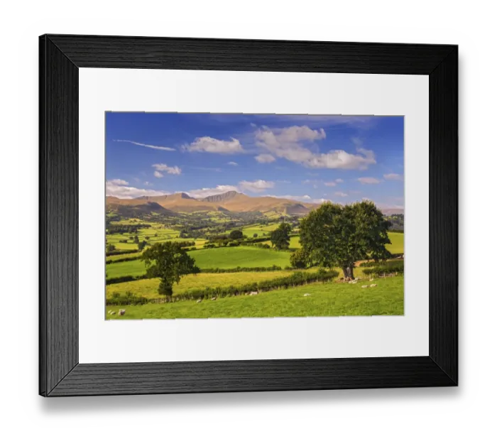 Framed Print : View of farmland with sheep in pasture and hills in distance, Penyfan and Corn Du, Brecon Beacons N. P Framed Print : View of farmland with sheep in pasture and hills in distance, Penyfan and Corn Du, Brecon Beacons N. P