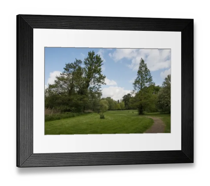 Framed Print : Lynford Arboretum Nofolk Framed Print : Lynford Arboretum Nofolk