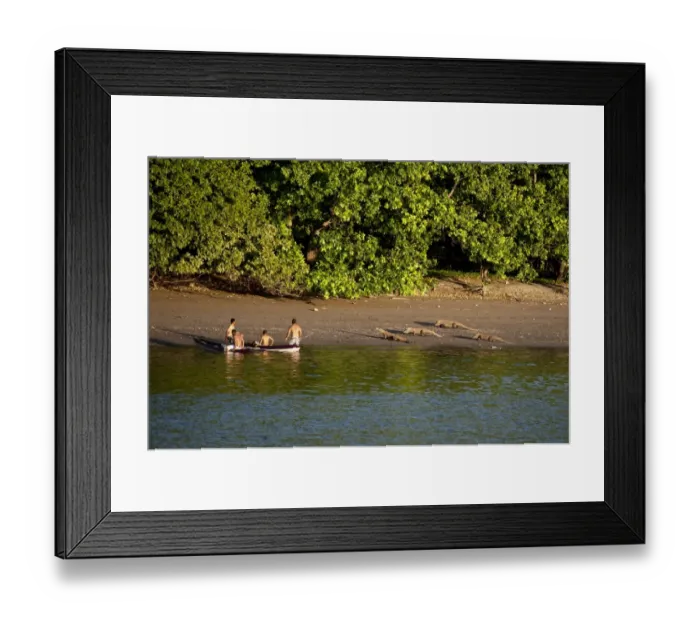 Framed Print : Komodo Dragon (Varanus komodoensis) four adults, walking on beach habitat, approaching men in kayaks, Komodo N. P Framed Print : Komodo Dragon (Varanus komodoensis) four adults, walking on beach habitat, approaching men in kayaks, Komodo N. P