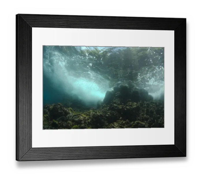Framed Print : View of tropical reef habitat with fish shoal, Horseshoe Bay, Nusa Kode, Rinca Island, Komodo N. P Framed Print : View of tropical reef habitat with fish shoal, Horseshoe Bay, Nusa Kode, Rinca Island, Komodo N. P