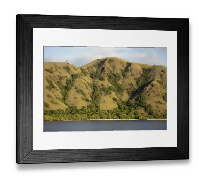 Framed Print : View of coastline and hills, Komodo N. P. Rinca Island, Lesser Sunda Islands, Indonesia, March Framed Print : View of coastline and hills, Komodo N. P. Rinca Island, Lesser Sunda Islands, Indonesia, March