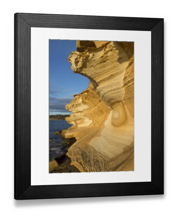 Framed Print : Eroded sandstone sea cliffs, Painted Cliffs, Maria Island N. P. Tasmania, Australia, February