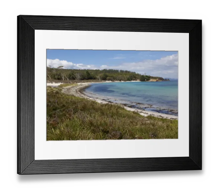 Framed Print : View of beach and forest habitat, Maria Island N. P. Tasmania, Australia, February Framed Print : View of beach and forest habitat, Maria Island N. P. Tasmania, Australia, February