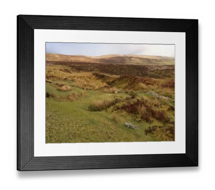 Framed Print : View of moorland habitat, Dartmoor, Devon, England, March Framed Print : View of moorland habitat, Dartmoor, Devon, England, March