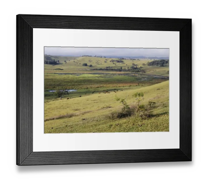 Framed Print : View of extinct volcanic crater with cattle and wetland habitat, important roosting area for waterfowl and cranes Framed Print : View of extinct volcanic crater with cattle and wetland habitat, important roosting area for waterfowl and cranes