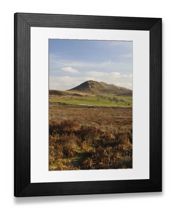 Framed Print : View of moorland habitat, Hawnby Hill, Hawnby, North York Moors N. P. North Yorkshire, England, February Framed Print : View of moorland habitat, Hawnby Hill, Hawnby, North York Moors N. P. North Yorkshire, England, February