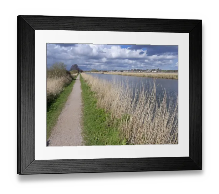Framed Print : View of towpath and canal, Exeter Canal, South of Exeter, Devon, England, March