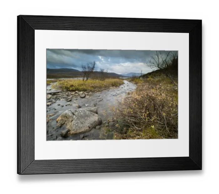 Framed Print : Tributary leading to lake at dawn, Lake Galggojarvi, Lapland, North Norway, September Framed Print : Tributary leading to lake at dawn, Lake Galggojarvi, Lapland, North Norway, September