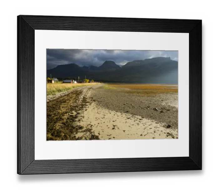 Framed Print : View of seaweed on beach at low tide, Lyngen Fjord, Skibotn, Lapland, North Norway, September Framed Print : View of seaweed on beach at low tide, Lyngen Fjord, Skibotn, Lapland, North Norway, September