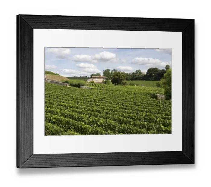 Framed Print : View over vineyards around the town of St Emilion in the Bordeaux Region of France Framed Print : View over vineyards around the town of St Emilion in the Bordeaux Region of France