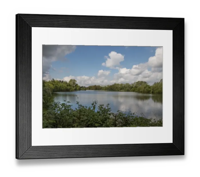 Framed Print : View from the hide over Conservation Lake at Lynford Forestry Commission, Norfolk
