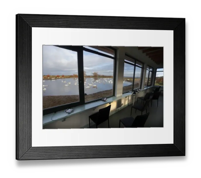 Framed Print : Interior of birdwatching observatory, overlooking Whooper Swan (Cygnus cygnus) and Mute Swan (Cygnus olor) mixed flock Framed Print : Interior of birdwatching observatory, overlooking Whooper Swan (Cygnus cygnus) and Mute Swan (Cygnus olor) mixed flock