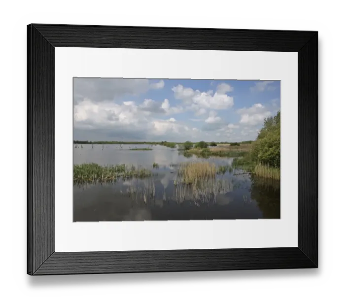Framed Print : View of wetland habitat in nature reserve, viewed from Noahs Hide, part of Brue Valley Living Landscape landscape scale
