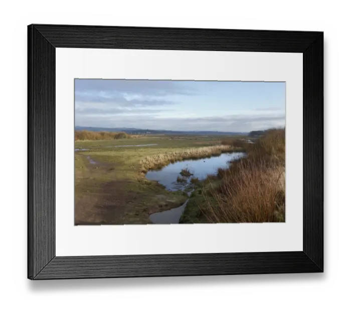 Framed Print : View of wetland habitat, Caerlaverock W. W. T. Dumfries and Galloway, Scotland, February Framed Print : View of wetland habitat, Caerlaverock W. W. T. Dumfries and Galloway, Scotland, February