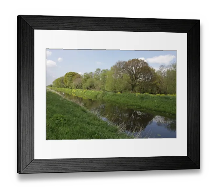 Framed Print : View of canal and woodland in nature reserve, part of Brue Valley Living Landscape landscape scale conservation Framed Print : View of canal and woodland in nature reserve, part of Brue Valley Living Landscape landscape scale conservation