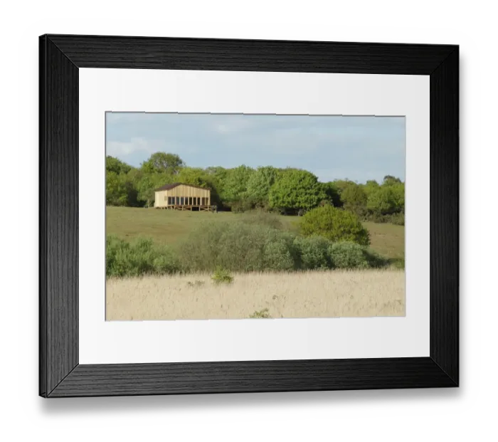 Framed Print : View of BBC Springwatch Control Centre overlooking nature reserve, Minsmere RSPB Reserve, Suffolk, England, May Framed Print : View of BBC Springwatch Control Centre overlooking nature reserve, Minsmere RSPB Reserve, Suffolk, England, May