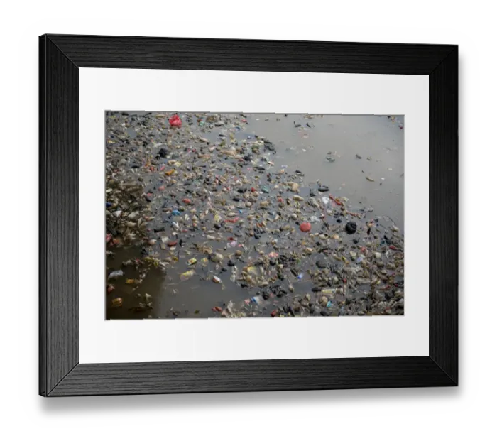 Framed Print : Rubbish floating on river in city, Manggarai District, Jakarta, Java, Indonesia, December Framed Print : Rubbish floating on river in city, Manggarai District, Jakarta, Java, Indonesia, December