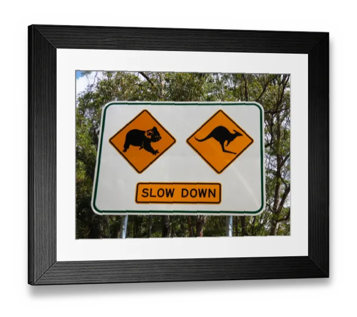 Framed Print : Koala and kangaroo crossing road sign, Queensland, Australia, October Framed Print : Koala and kangaroo crossing road sign, Queensland, Australia, October