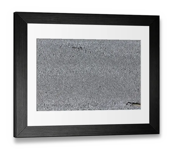 Framed Print : Knot (Calidris canutus) flock, non-breeding plumage, with individual Eurasian Oystercatcher (Haematopus ostralegus) Framed Print : Knot (Calidris canutus) flock, non-breeding plumage, with individual Eurasian Oystercatcher (Haematopus ostralegus)