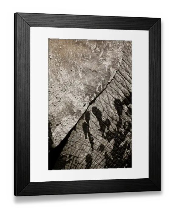 Framed Print : African Elephant (Loxodonta africana) adult, close-up of skin with dry and wet mud, Amboseli N. P. Kenya, February