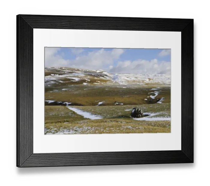 Framed Print : View of snow on hillside dotted with boulders deposited by glaciers, Cowside, Langstrothdale, Upper Wharfedale Framed Print : View of snow on hillside dotted with boulders deposited by glaciers, Cowside, Langstrothdale, Upper Wharfedale