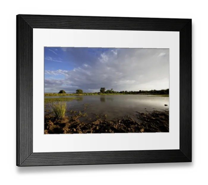 Framed Print : View of waterhole habitat, Mpala, Laikipia District, Kenya, December Framed Print : View of waterhole habitat, Mpala, Laikipia District, Kenya, December