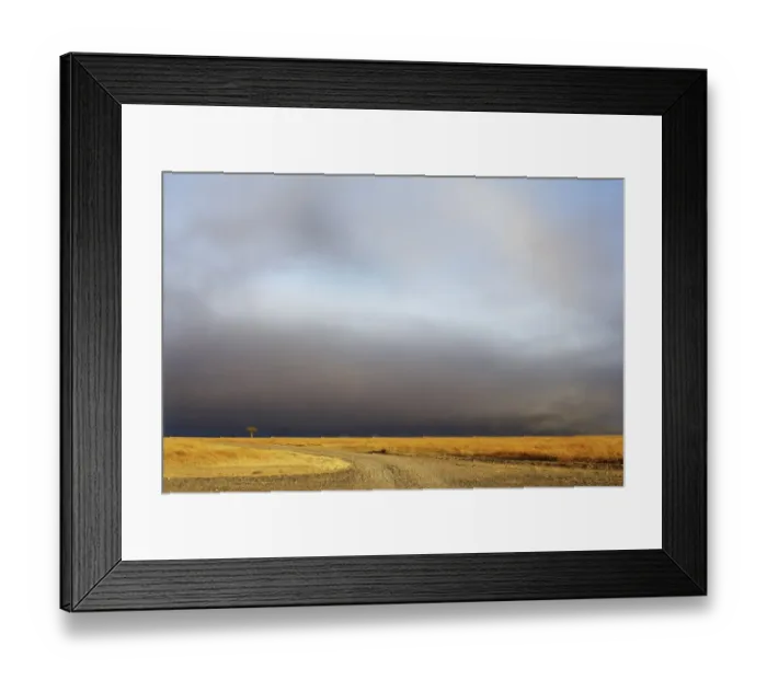 Framed Print : View of grassland habitat with stormclouds, Ol Pejeta Conservancy, Laikipia District, Kenya, February Framed Print : View of grassland habitat with stormclouds, Ol Pejeta Conservancy, Laikipia District, Kenya, February