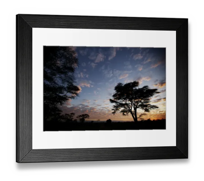 Framed Print : Trees silhouetted at sunrise, Lake Nakuru N. P. Great Rift Valley, Kenya, January