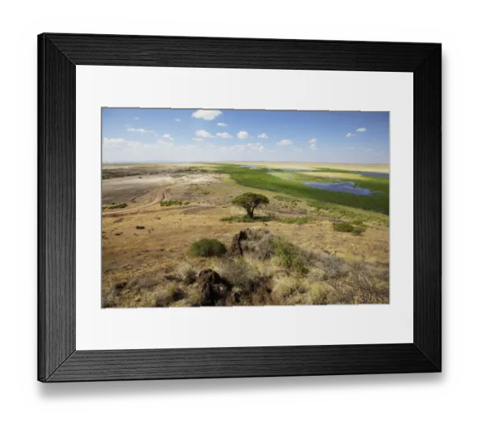 Framed Print : View of savannah and marshland habitat, Lookout Hill, Amboseli N. P. Kenya, February