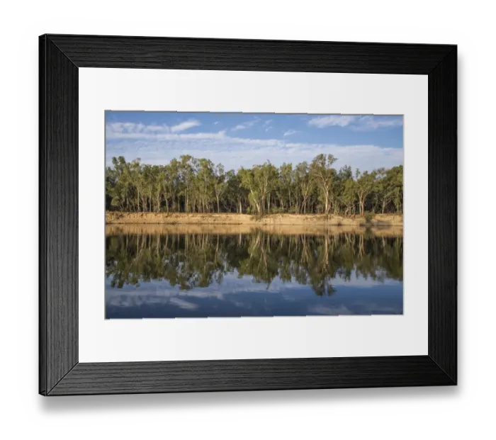 Framed Print : View of forest reflected in river, Barooga State Forest, Murray River, New South Wales, Australia, February Framed Print : View of forest reflected in river, Barooga State Forest, Murray River, New South Wales, Australia, February