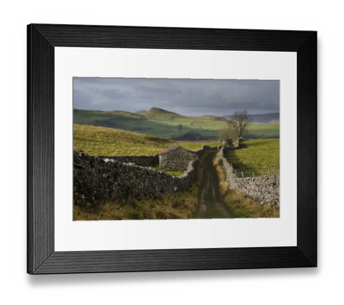 Framed Print : Bridleway meandering between drystone walls in upland farmland, Pennine Bridleway, near Stainforth Framed Print : Bridleway meandering between drystone walls in upland farmland, Pennine Bridleway, near Stainforth
