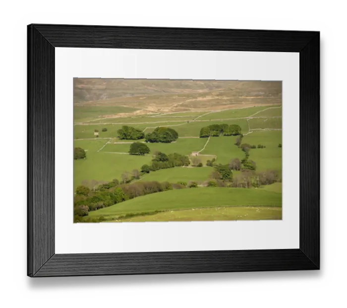 Framed Print : View of fields with trees and drystone walls, near Kirkby Stephen, Upper Eden Valley, Cumbria, England, June