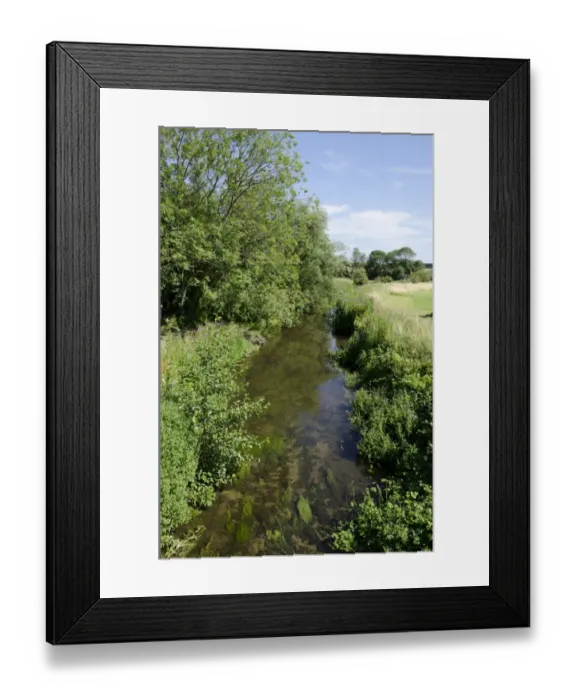 Framed Print : Chalk stream habitat, River Stiffkey, Norfolk, England, August Framed Print : Chalk stream habitat, River Stiffkey, Norfolk, England, August