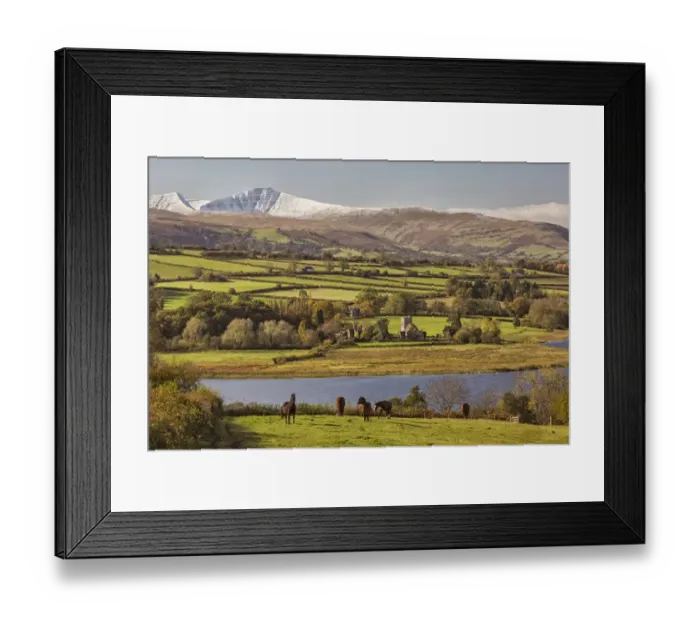 Framed Print : View of horses standing in pasture, lake and snow covered hills in distance, Llangorse Lake, Penyfan Framed Print : View of horses standing in pasture, lake and snow covered hills in distance, Llangorse Lake, Penyfan