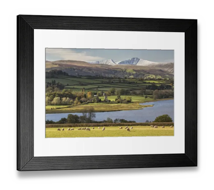 Framed Print : View of sheep grazing in pasture, lake and snow covered hills in distance, Llangorse Lake, Penyfan, Brecon Beacons N. P Framed Print : View of sheep grazing in pasture, lake and snow covered hills in distance, Llangorse Lake, Penyfan, Brecon Beacons N. P
