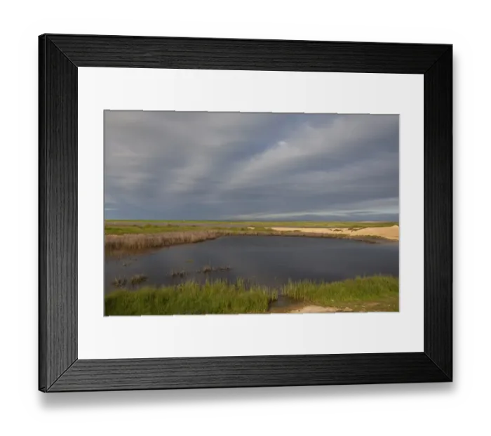 Framed Print : View of lagoon and wetland habitat, Lagunas de Villafafila Reserve, Zamora, Castilla y Leon, Spain, April Framed Print : View of lagoon and wetland habitat, Lagunas de Villafafila Reserve, Zamora, Castilla y Leon, Spain, April