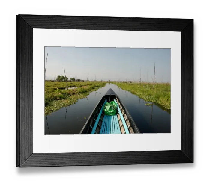 Framed Print : Boat in channel between floating vegetable gardens, Inle Lake, Shan State, Myanmar, January