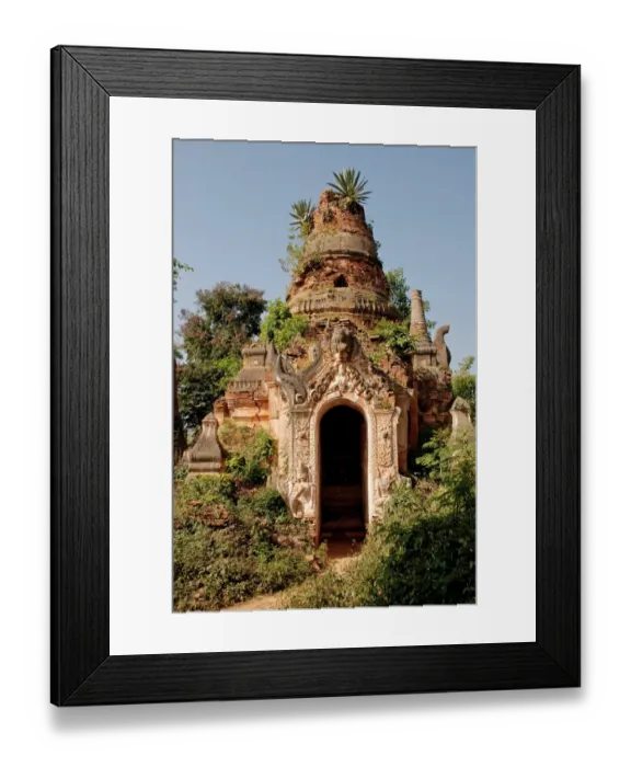 Framed Print : Vegetation growing from ruined stupa, Inthein, Shan State, Myanmar, January Framed Print : Vegetation growing from ruined stupa, Inthein, Shan State, Myanmar, January