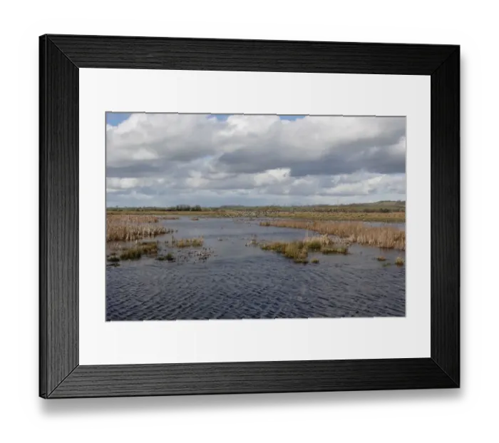 Framed Print : View of flooded floodplain grassland and wetland habitat, Greylake RSPB Reserve, Somerset Levels, Somerset, England